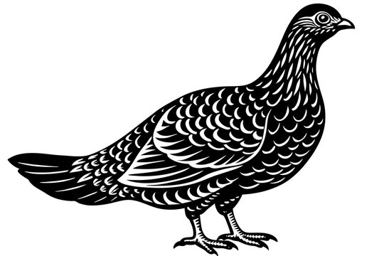 recommend clip art: grouse silhouette vector illustration