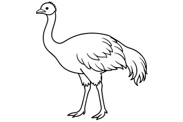 Fototapeta premium emu silhouette vector illustration