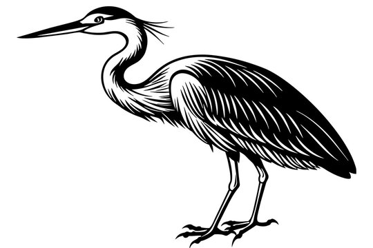 egret silhouette vector illustration