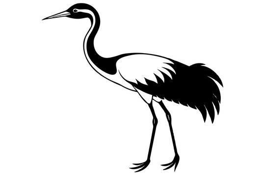 crane bird silhouette vector illustration