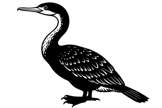 recommend clip art: cormorant silhouette vector illustration