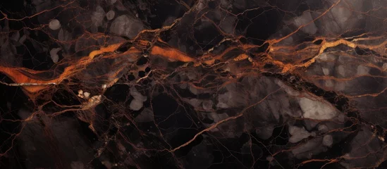 Zelfklevend Fotobehang A closeup of a terrestrial plant resembling black marble with striking orange veins, resembling the patterns of a landscape painting © AkuAku