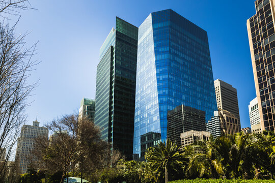  Stunning Views of San Francisco's Office Buildings from a Rooftop Park.