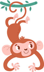 Monkey Hanging On Liana