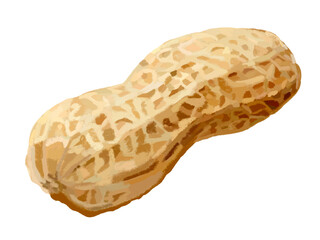 落花生（殻付き）