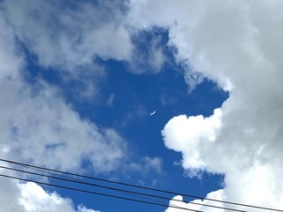 夏空を飛ぶ飛行機