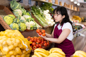 Asian female employee lays out ripe tomatoes on the counter and display case