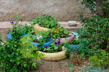 A colorful garden with a variety of plants and flowers