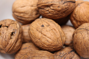 set of nuts. details of the nuts. dry fruit with hard skin. walnut with selective focus.