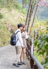 20代の若い台湾人の男女カップルが台湾の観光地である猫空の山の中で仲良く話しながら散歩をしている A young Taiwanese male and female couple in their 20s are taking a walk while talking happily in the mountain of Maokong, a tourist destination in Taiw