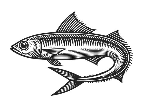 engraved fish swimming, black and white clip art preview
