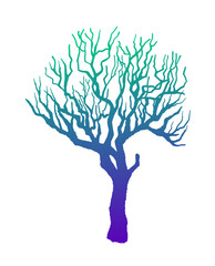 Leafless winter tree. Hand drawn sketch. Line art. Colorful design element on white background. Isolated. Tattoo image. Vector illustration. - 767493313