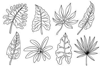 Set of tropical leaves sketches. Vector graphics.	