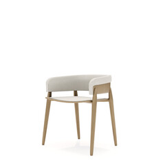 3D Render Wood Arm Chair Sofa