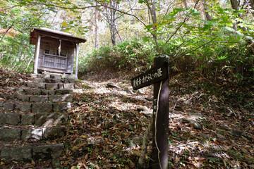 福島県　観音沼森林公園。公園一帯は、野鳥の宝庫であり、四季を通じてさえずりを楽しめます。観音沼の周囲には四季折々の美しさを楽しめる花木等が植栽され、散策路が9コース整備され、春・夏・秋それぞれに違う表情を見せる観音沼を、ゆっくり散策しながら楽しむことができます。その神秘的な景観に魅了された多くのカメラマンが訪れることでも有名です。