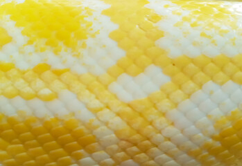 yellow snake skin texture, yellow leather snake skin