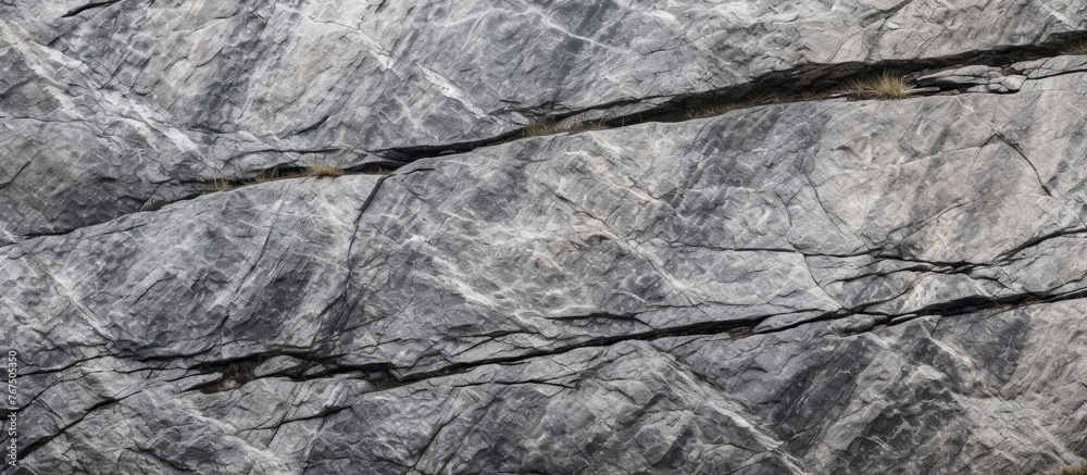 Poster a detailed close up of a grey bedrock with a marble texture, resembling a monochrome pattern in mono