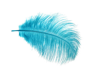 Beautiful delicate light blue feather isolated on white