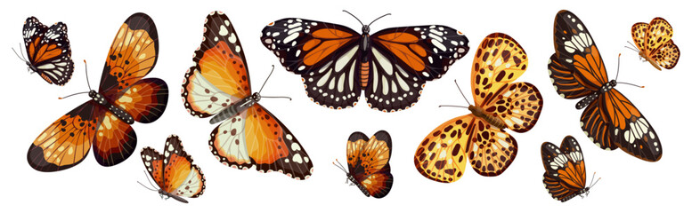 Set of colorful winged insects, various butterflies.Vector graphics.