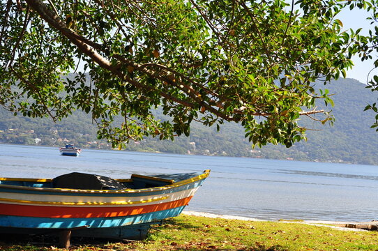 Lagoa  da Conceição  - Florianópolis - SC 