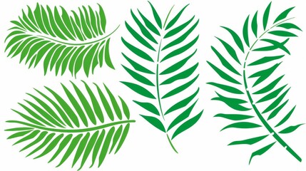  a set of three green leaves on a white background, one of which is a palm tree, the other of which is a fern.