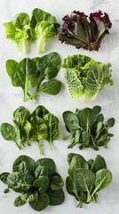 Leafy greens and spinach