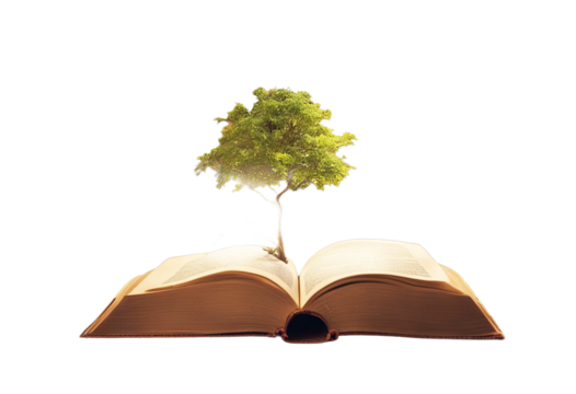 open book with tree