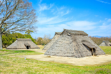 春の平塚川添遺跡　福岡県朝倉市　Hiratsuka Kawazoe ruins in spring. Fukuoka Pref, Asakura City.