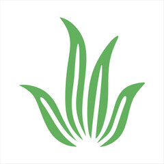 Algae plant abstract vector element