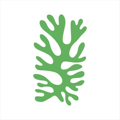 Algae plant abstract vector element
