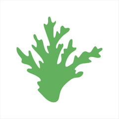Algae plant abstract vector element