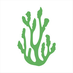 Algae plant abstract vector element