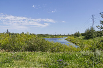 Sunny Summer Day at Pylypow Wetlands