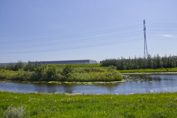 Sunny Summer Day at Pylypow Wetlands