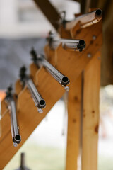 Collection of muskets