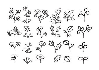 手書き風かわいい植物のゆるいイラスト