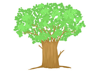 Beautiful tree isolated on white transparent background type1