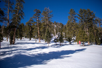 Scenic Winter Mountain View