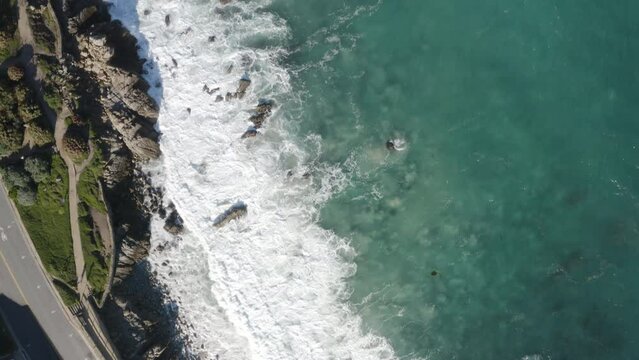 4K overhead of the Monterey Bay and Pacific Grove Rec Walk with an echelon of Pelicans flying directly underneath the camera.