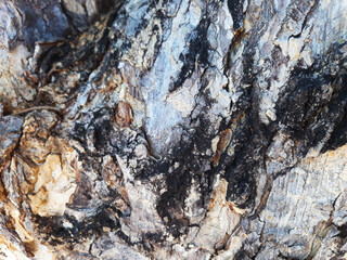 black and brown cracked wooden surface texture for background template, 3d rendering. wood pattern blurred background