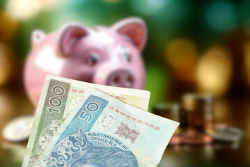 A piggy bank and money Polish zloty PLN
