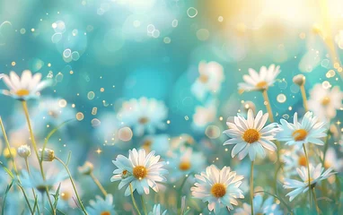 Crédence de cuisine en verre imprimé Turquoise Sun-Kissed Spring Meadow: Ethereal White Daisies in Soft Light, Impressionist Painter's Touch, Depth of Field, Bokeh