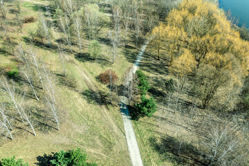 country road through spring forest at bright sunny day. aerial photography with drone.