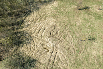 farmland at early spring. field with dry grass and tractor tracks. aerial shot in sunny day.