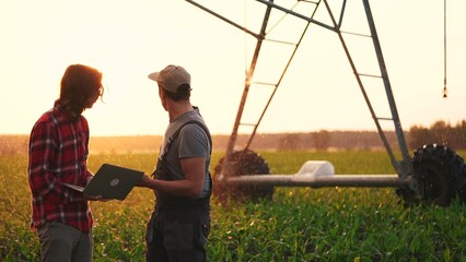 irrigation agriculture. two farmers silhouette with a laptop work in a field with corn at the back is irrigating corn sprouts. business team lifestyle agriculture irrigation concept - 767561915