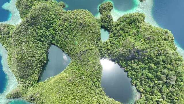 Rock islands, surrounded by coral reef, rise from Raja Ampat's tropical seascape. This region of Indonesia is known as the heart of the Coral Triangle due to the marine biodiversity found there.