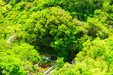 新緑に包まれた布引の滝上流　神戸市中央区布引の滝上流にて
