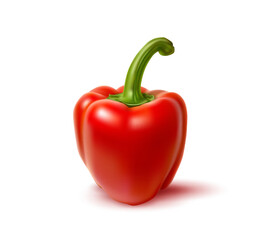 Realistic red bell pepper, raw whole vegetable or veggie and farm food, isolated vector. Fresh ripe red bell pepper in closeup for organic vegetarian food and cuisine cooking as realistic object 3D