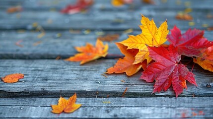 Naklejka na ściany i meble Rustic Autumn: Maple Leaves on Wood Background