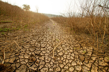 parched landscape with mud-cracked earth and a drying river, climate change impacts, including...